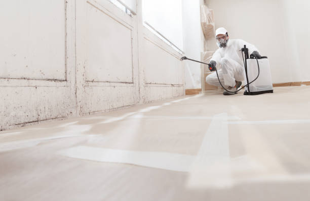 24/7 Emergency Mold Removal experts in Warren, PA